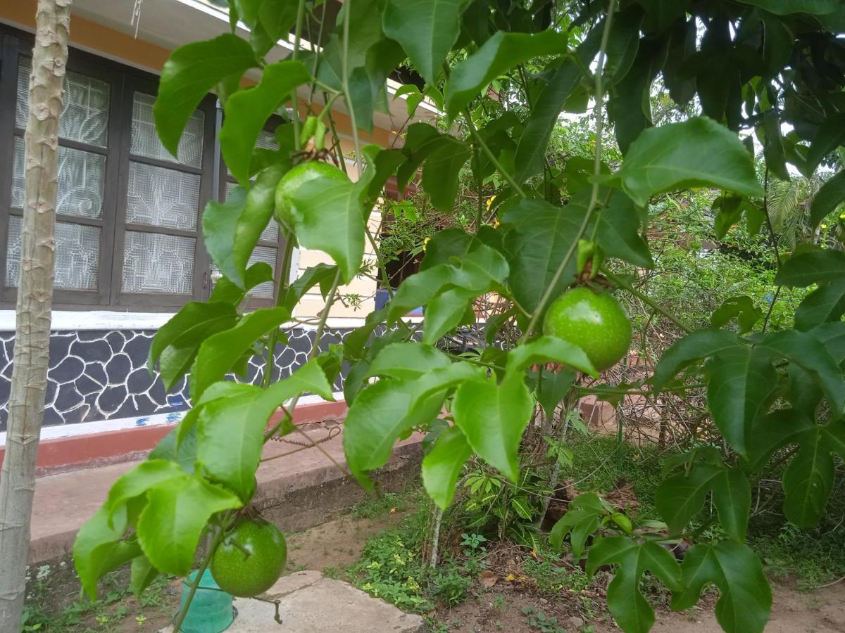 Sanaya Homestay Tangalle Exteriör bild
